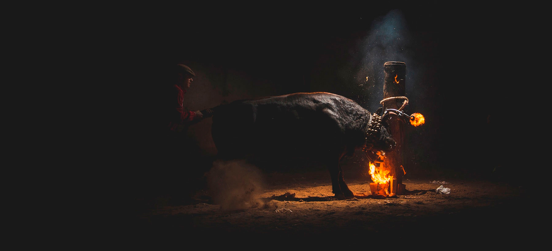 ¡Acabemos juntos con las fiestas populares con toros!