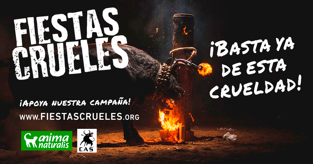 (c) Fiestascrueles.org