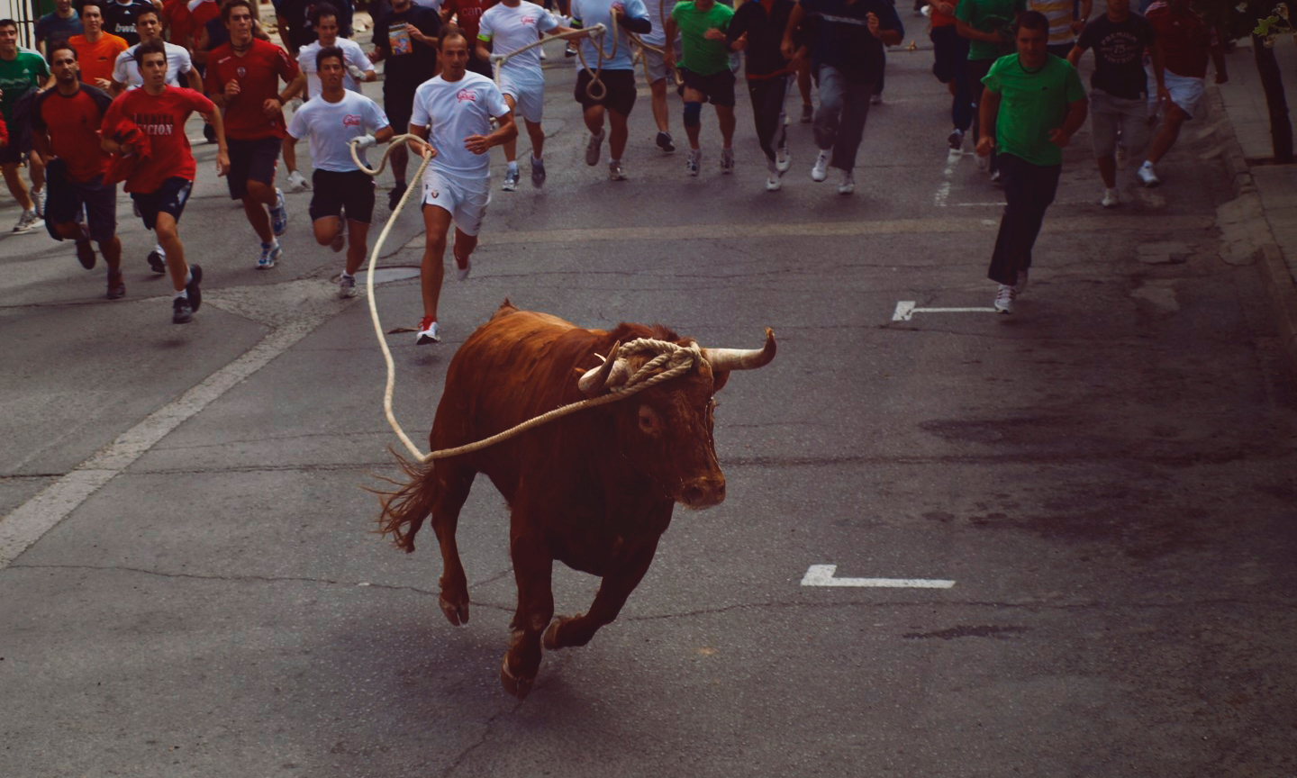 Toro de cuerda