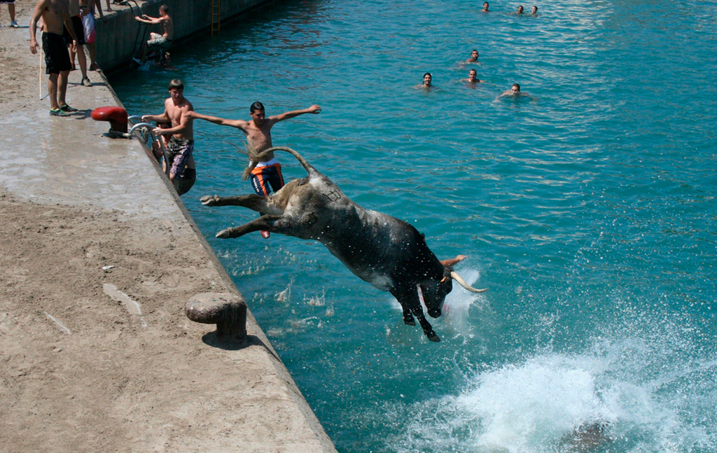 Toro a la mar en Dénia